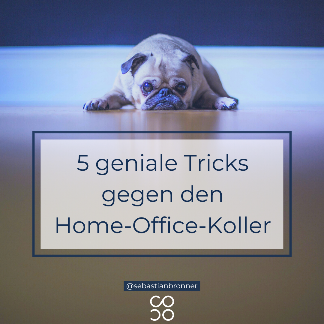 Home-Office-Koller